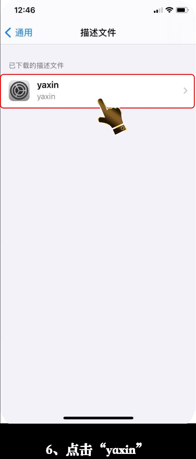 iOS应用安装步骤示意图6